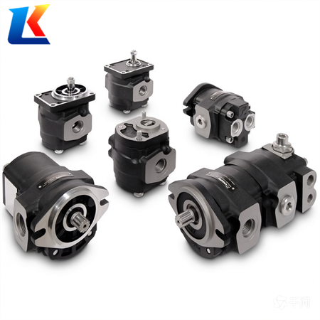 casappa gear pump-3